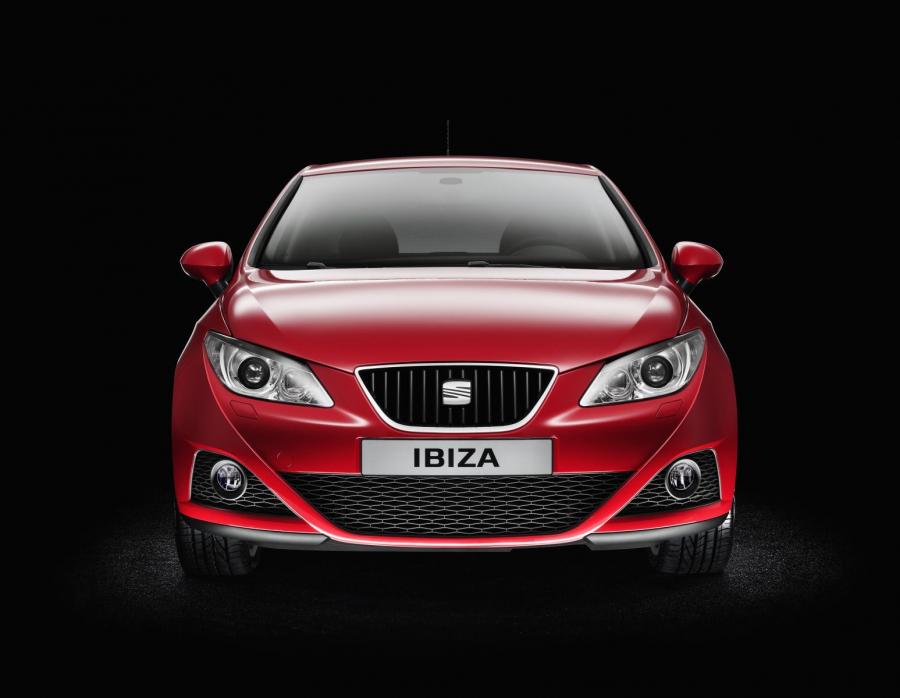  Seat Ibiza 2008 года  (фото 90 из 287)